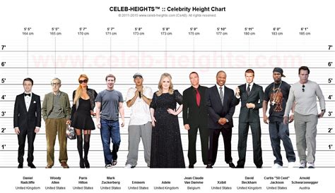 celeb height|More.